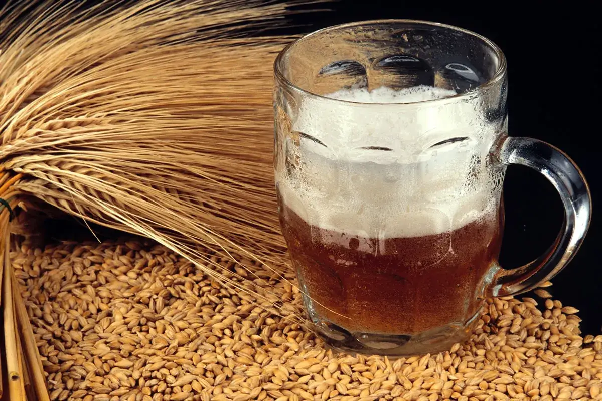 Mousse onéreuse dans un verre, entourée de grains d'orge ou de blé et d'épis dorés.