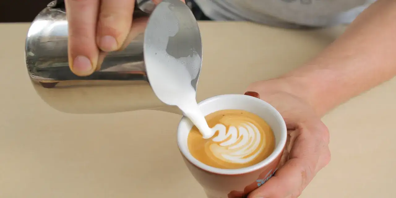 Barista tworzy wz&oacute;r na cappuccino, wlewając spienione mleko. Odpowiednie mleko to klucz do idealnego cappuccino.