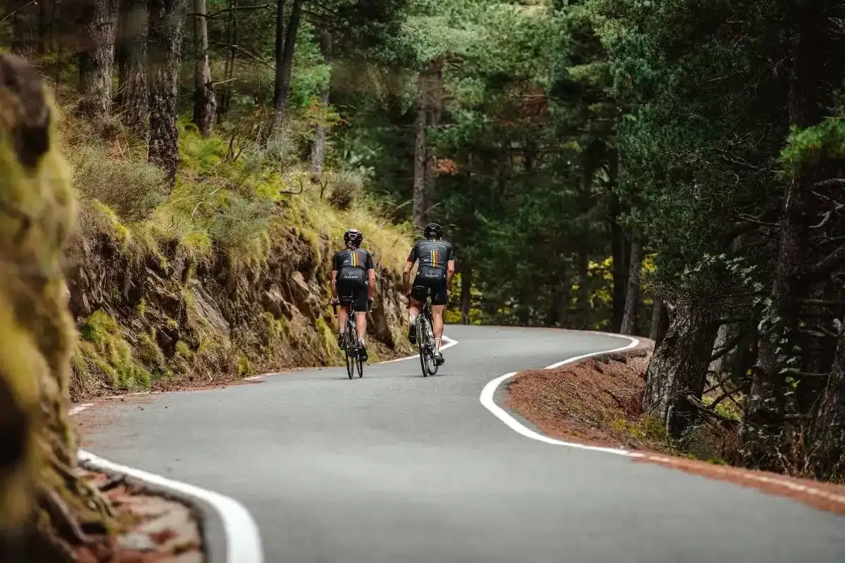 Dos ciclistas disfrutan de una ruta escénica en Andorra, pedaleando por una carretera sinuosa rodeada de exuberante vegetación y árboles altos.