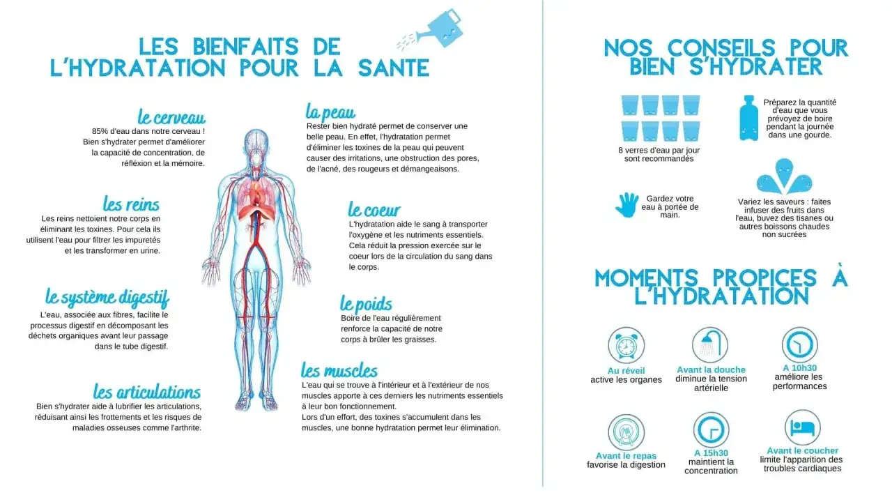 Les bienfaits de boire de l'eau : améliore le cerveau, la peau, les reins, le cœur, le système digestif, le poids, les muscles et les articulations.