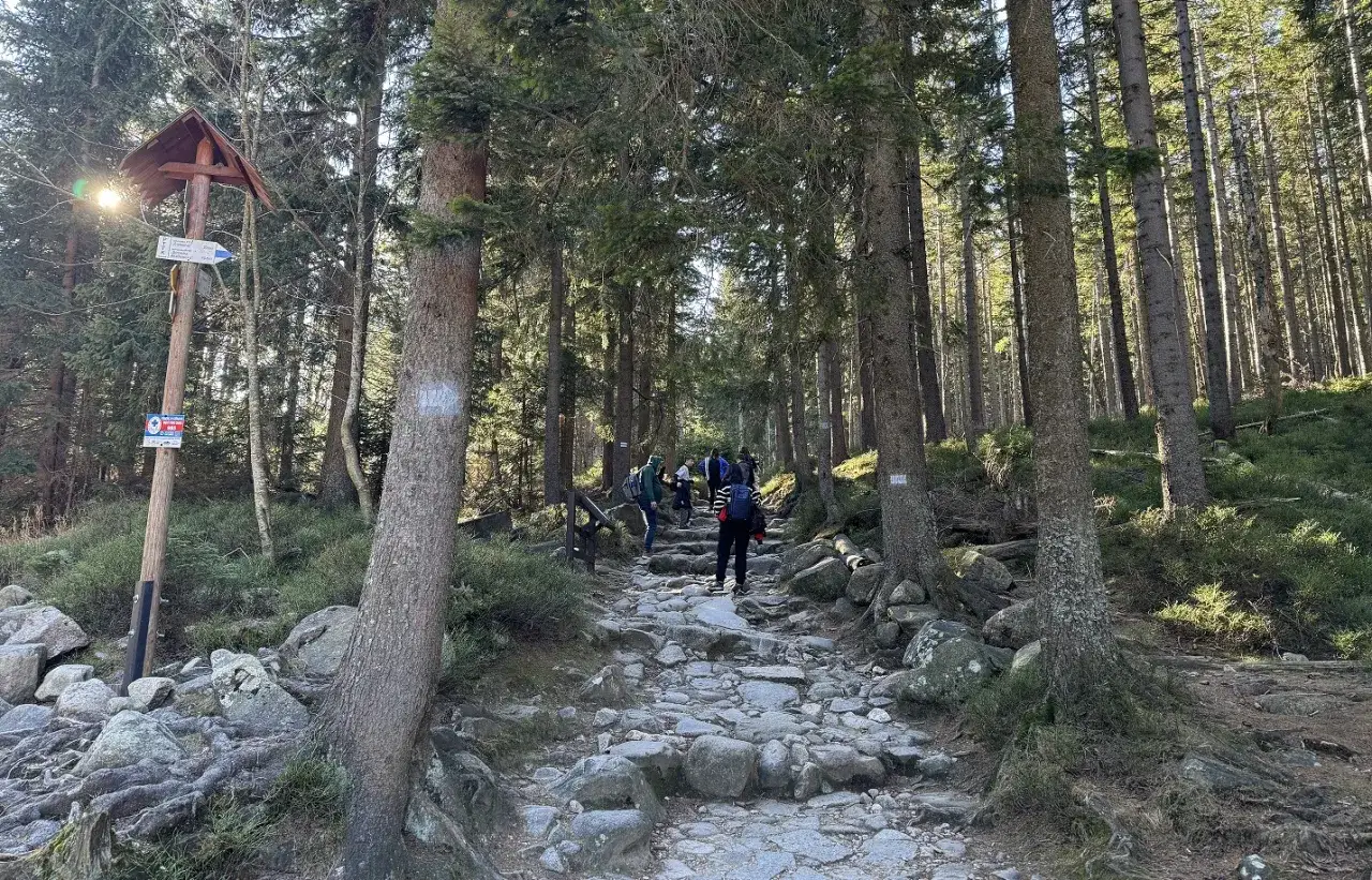 Kamienna ścieżka w lesie, turyści idą w górę. Znak wskazuje niebieski szlak na Śnieżkę.