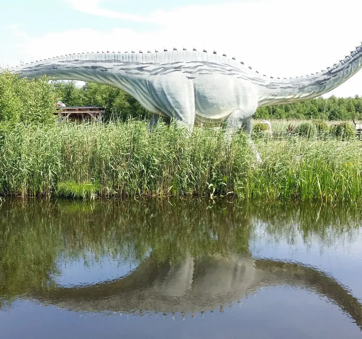 Zdjęcie  Największy Park Dinozaurów w Polsce - Dino Park Łeba
