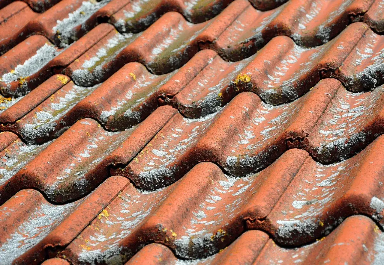 Zdjęcie Jak skutecznie umyć dachówkę ceramiczną i uniknąć uszkodzeń