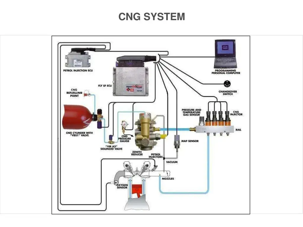 Zdjęcie CNG a LPG: Kluczowe różnice i ich wpływ na środowisko
