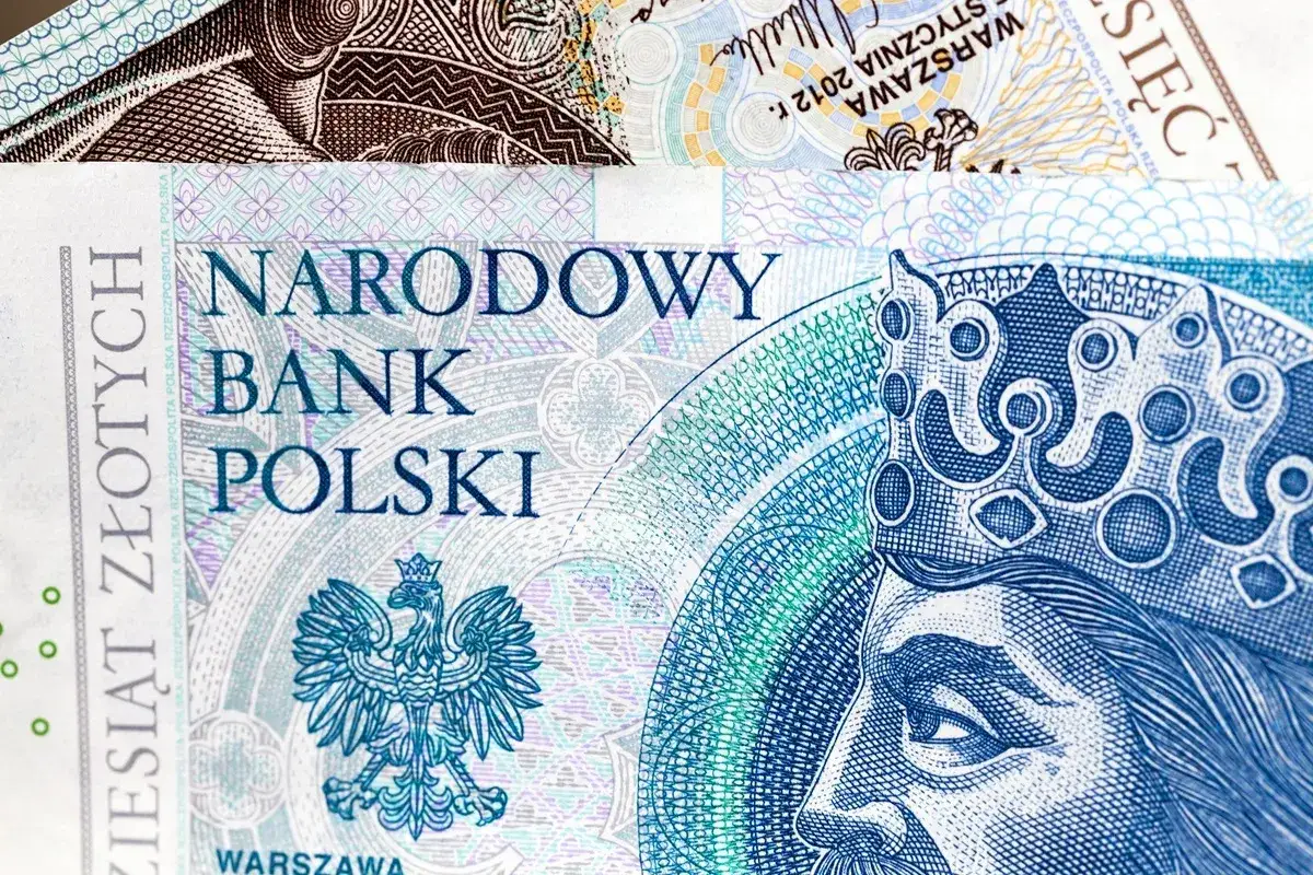 Zdjęcie Ile jest netto na umowę zlecenie? Sprawdź, ile naprawdę otrzymasz
