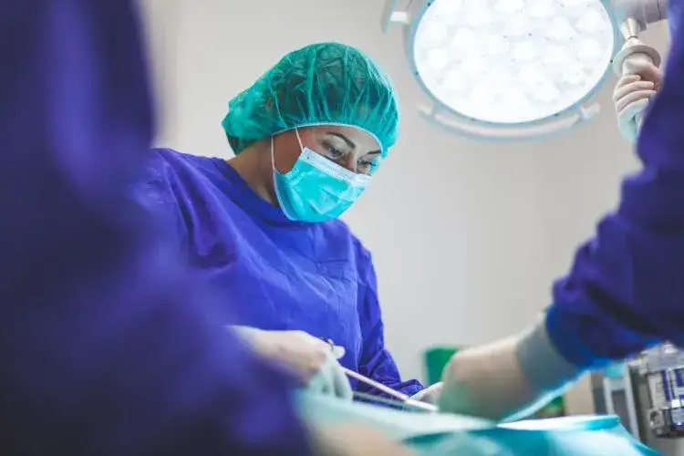 Zdjęcie Czym zajmuje się weterynarz? Poznaj jego kluczowe obowiązki i rolę