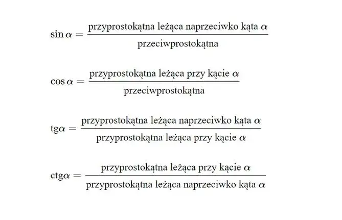 Zdjęcie Jak obliczyć cotangens? Proste metody i najczęstsze błędy