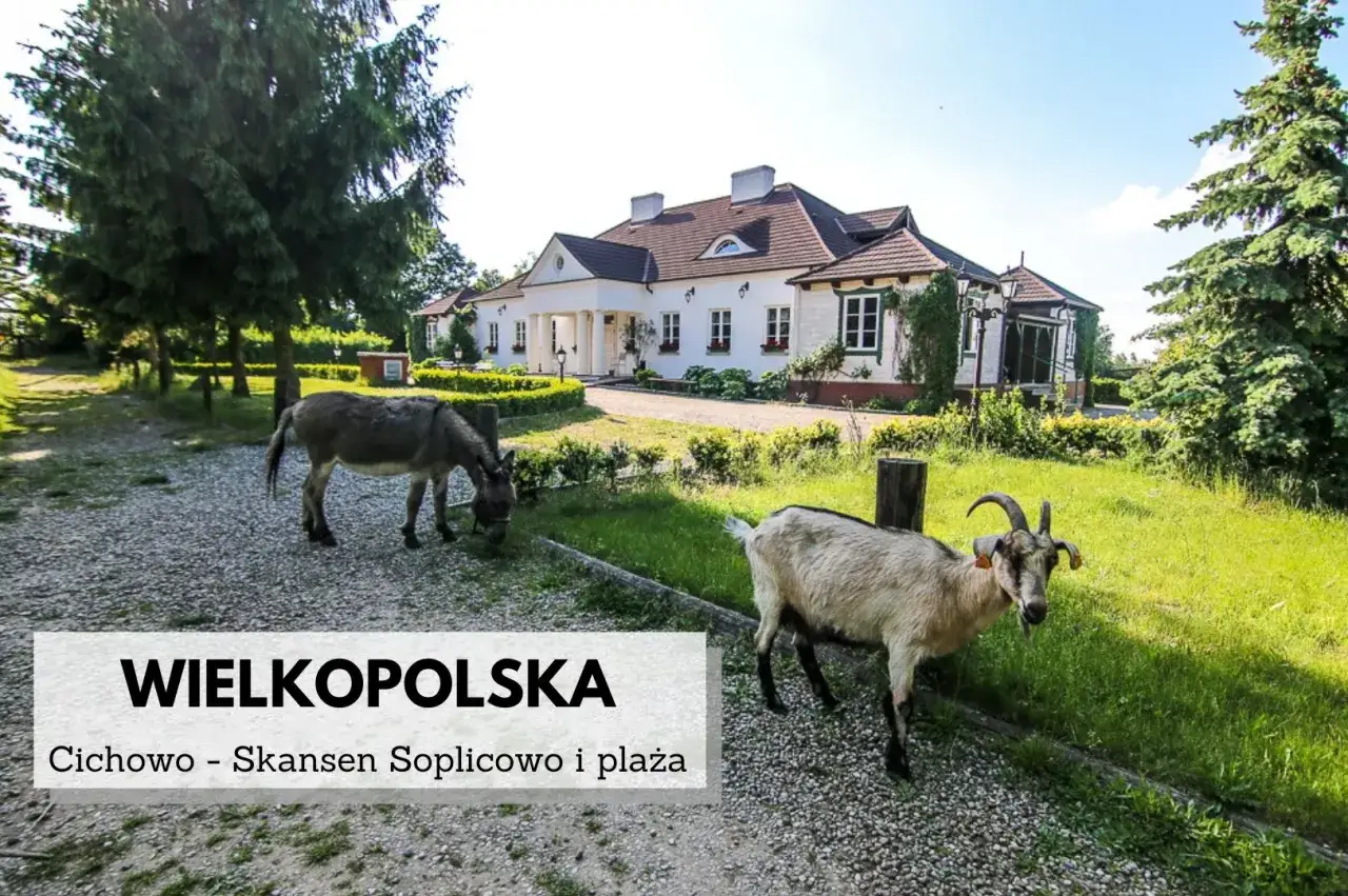 Zdjęcie Cichowo skansen: odkryj fascynujące atrakcje i historię miejsca