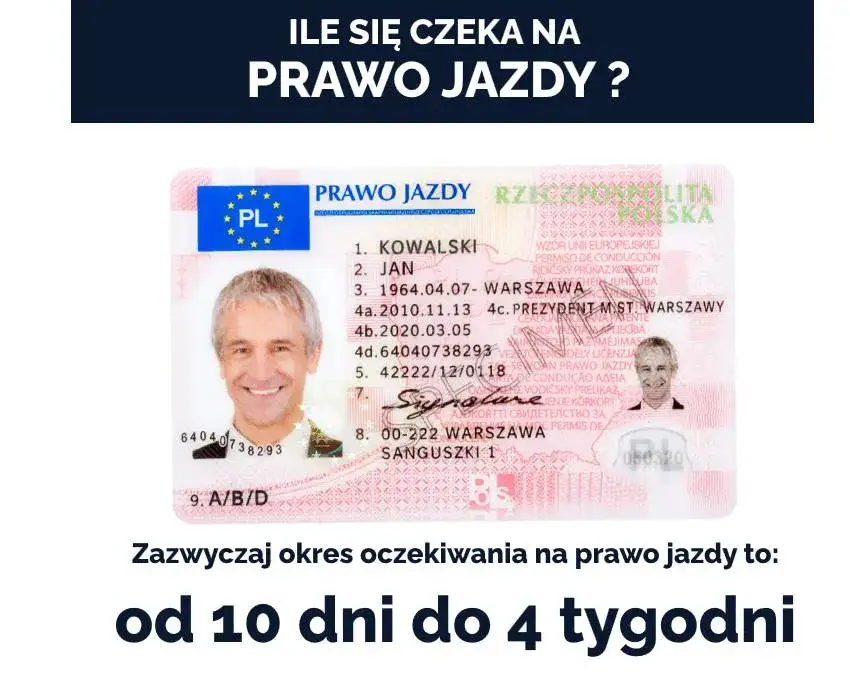 Zdjęcie Ile czeka się na prawo jazdy? Szybka weryfikacja terminów i urzędowych procedur