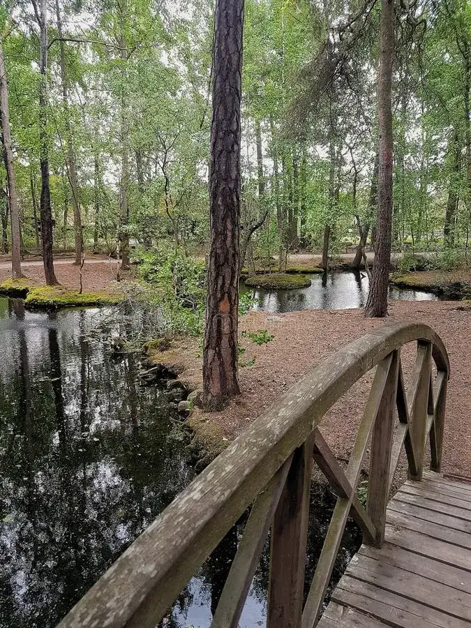 Zdjęcie Skansen Forest - idealne miejsce na wypoczynek blisko Krakowa