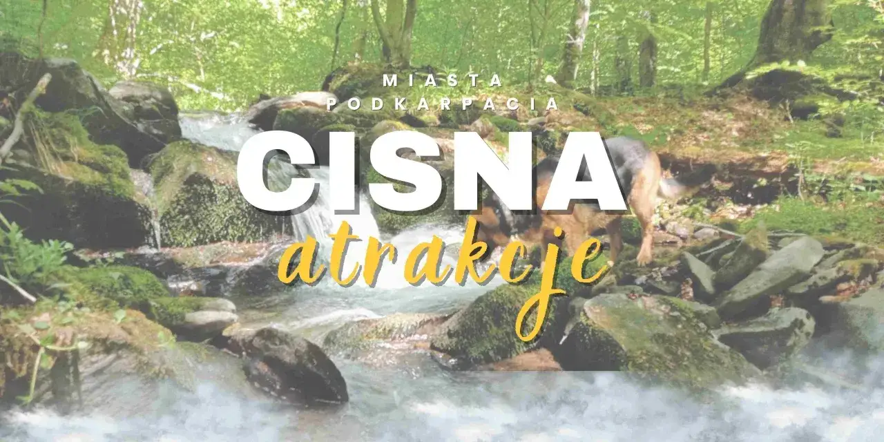 Zdjęcie Najlepsze atrakcje w Forlì, które musisz zobaczyć podczas wizyty