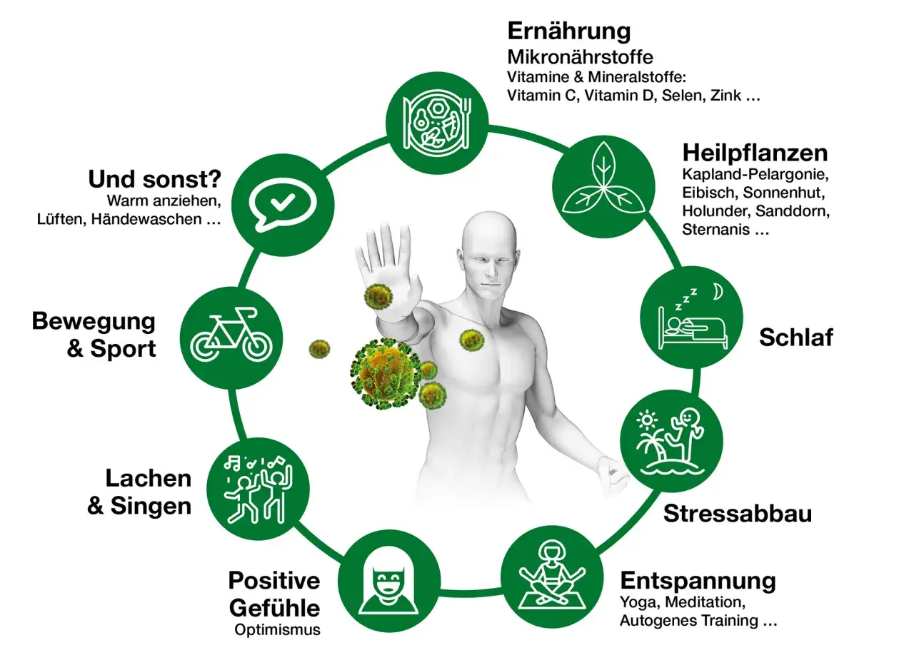 Zdjęcie Vitamine fürs Immunsystem: Stärken Sie Ihre Abwehrkräfte effektiv