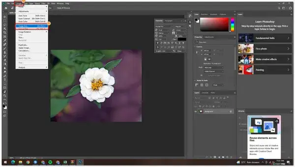 Zdjęcie Jak zmienić rozmiar zdjęcia w Photoshopie bez utraty jakości