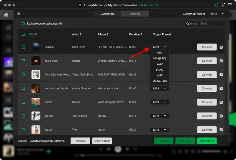 Zdjęcie Jak wykorzystać kod Spotify i uniknąć problemów z aktywacją