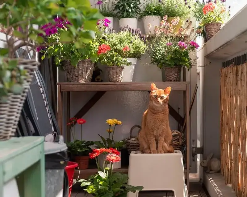 Zdjęcie Jak urządzić mały wąski balkon w bloku - inspiracje na każdą kieszeń