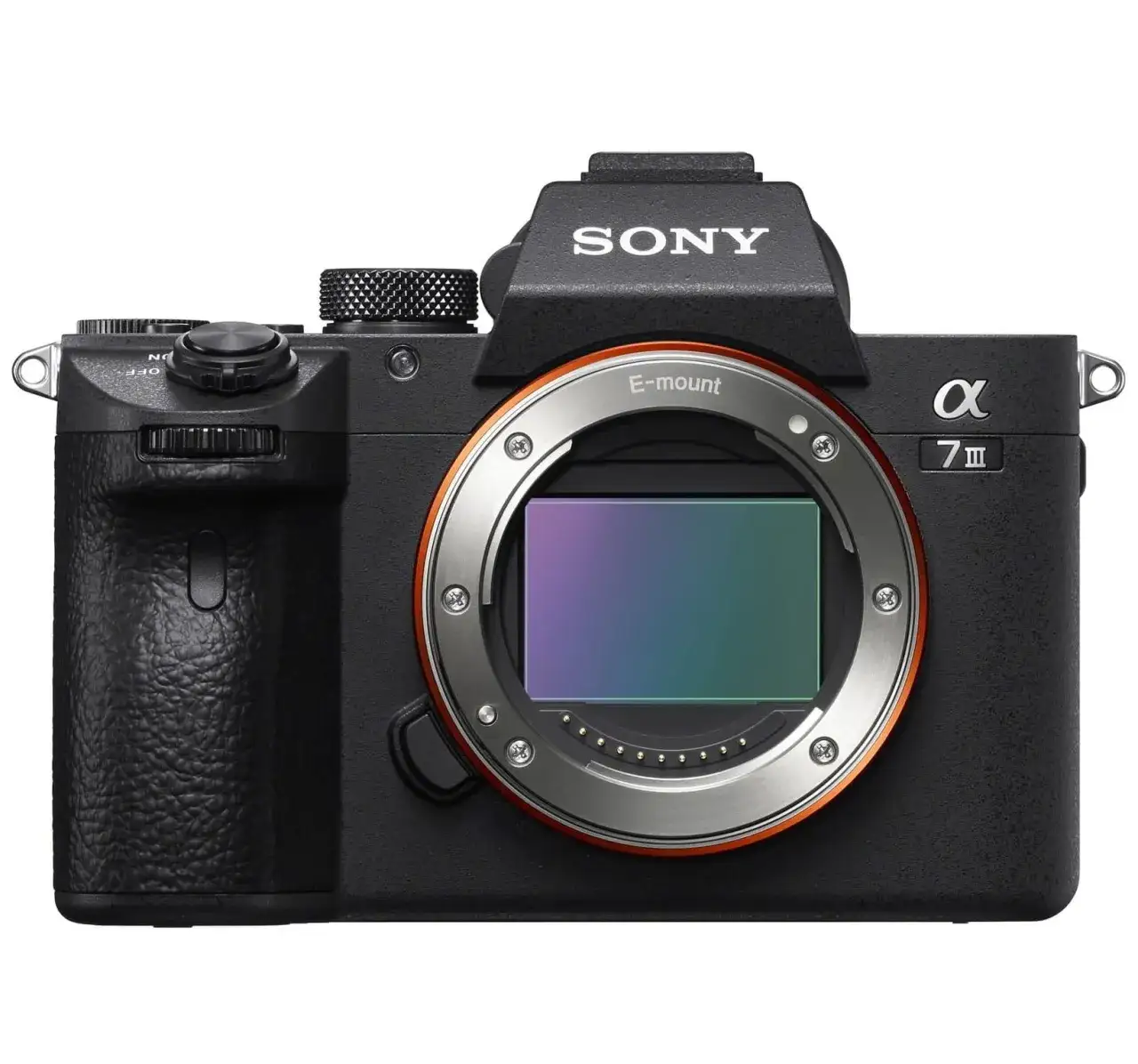 Zdjęcie Ile kosztuje profesjonalny aparat fotograficzny? Ceny, które zaskakują