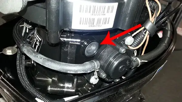 Zdjęcie Prosty sposób jak sprawdzić rok produkcji silnika zaburtowego Yamaha - poradnik