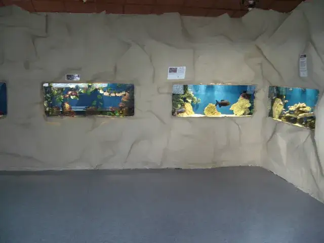 Zdjęcie Oceanarium Jastrzębia Góra - co warto wiedzieć przed wizytą?