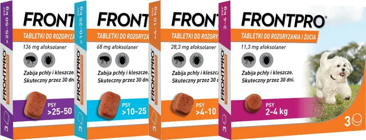 Zdjęcie Ile działa tabletka na kleszcze dla psa i kiedy zaczyna chronić?