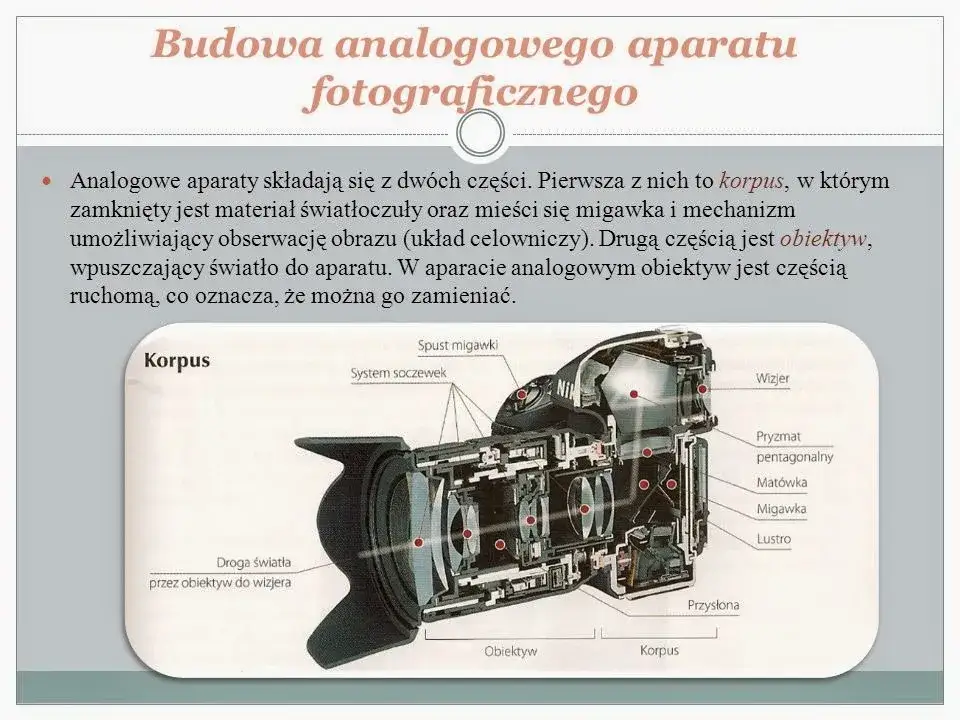 Zdjęcie Jak działa aparat fotograficzny? Proste wyjaśnienie budowy i zasad działania