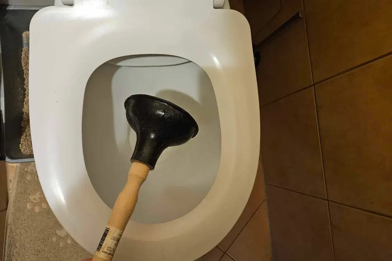 Zdjęcie Sennik zapchana toaleta - Brudna woda w toalecie