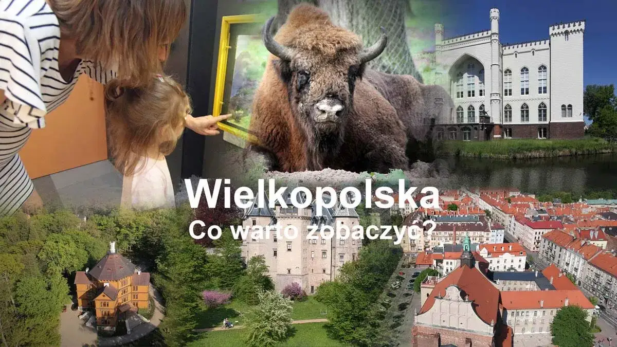 Zdjęcie Najciekawsze atrakcje w Wielkopolsce, które musisz zobaczyć