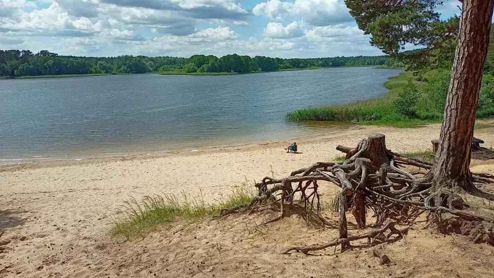 Zdjęcie Jezioro Wikaryjskie - najlepsze atrakcje i plaże na letni wypoczynek