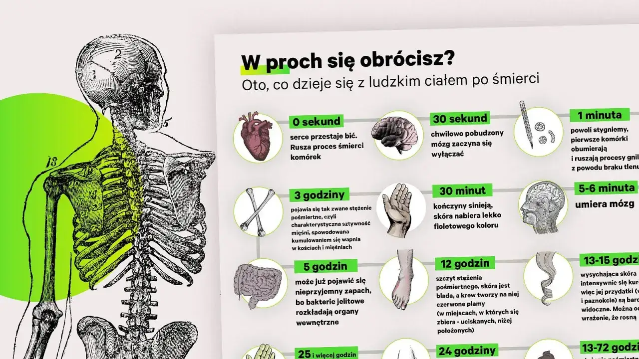 Zdjęcie Co się dzieje z ciałem po pogrzebie? Etapy rozkładu i tajemnice