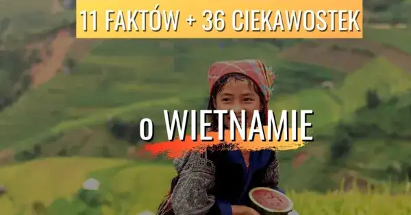 Zdjęcie Co jest symbolem Wietnamu? Odkryj znaczenie kulturowych emblemów