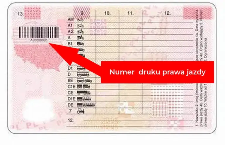Zdjęcie Czy numer prawa jazdy się zmienia? Sprawdź, kiedy może się to zdarzyć i dlaczego