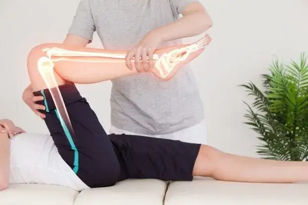Zdjęcie Fizjoterapia jakie przedmioty na studiach – co musisz wiedzieć?