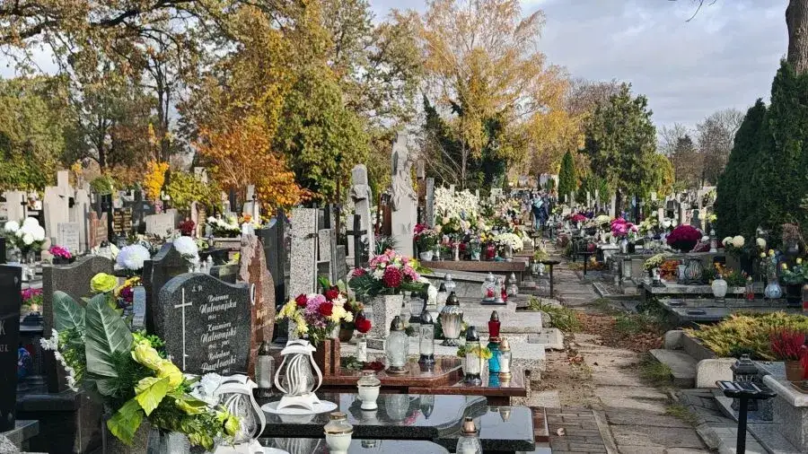 Zdjęcie Jak znaleźć zmarłego na cmentarzu w Łodzi - sprawdzone metody i porady