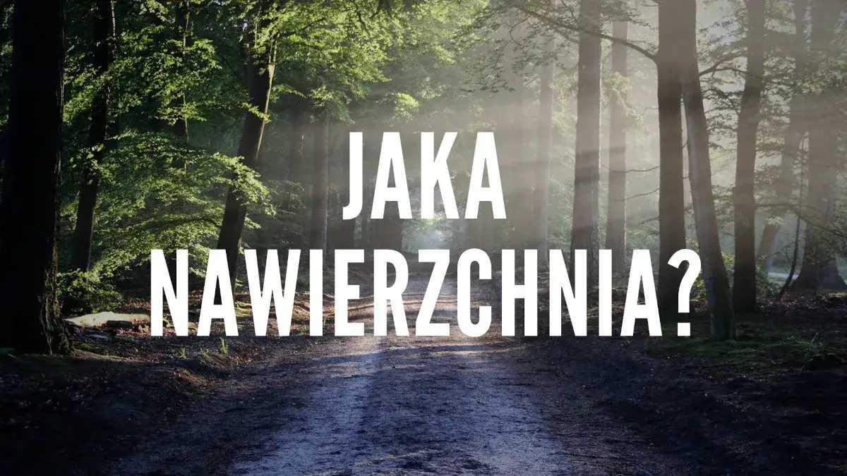 Zdjęcie Po czym można biegać? Najlepsze nawierzchnie dla biegaczy