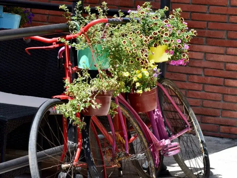 Zdjęcie Jak zrobić kwietnik z roweru: DIY krok po kroku + inspiracje