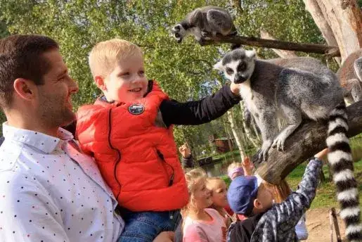 Zdjęcie Gdzie z dzieckiem w Pomorskim? Najlepsze atrakcje dla rodzin