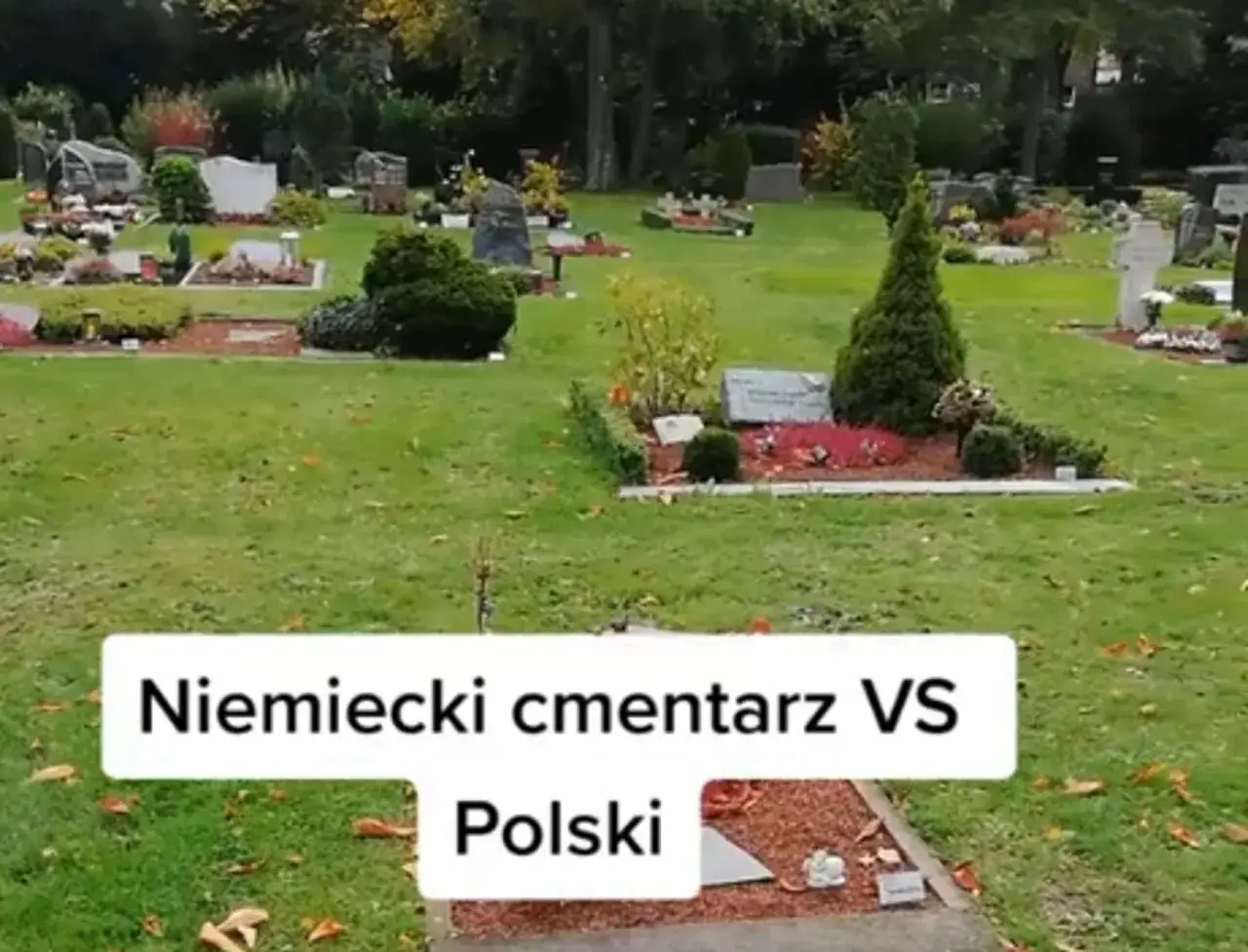 Zdjęcie Jak wyglądają cmentarze w Niemczech - ich niezwykłe cechy i historia
