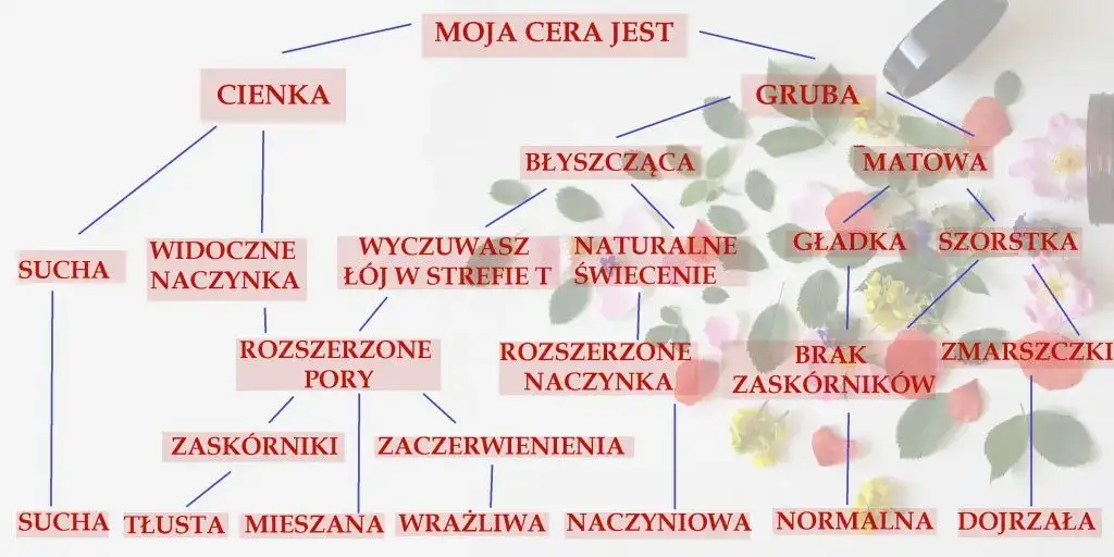 Zdjęcie Test na typ skóry - poznaj swoją cerę i dobierz idealną pielęgnację