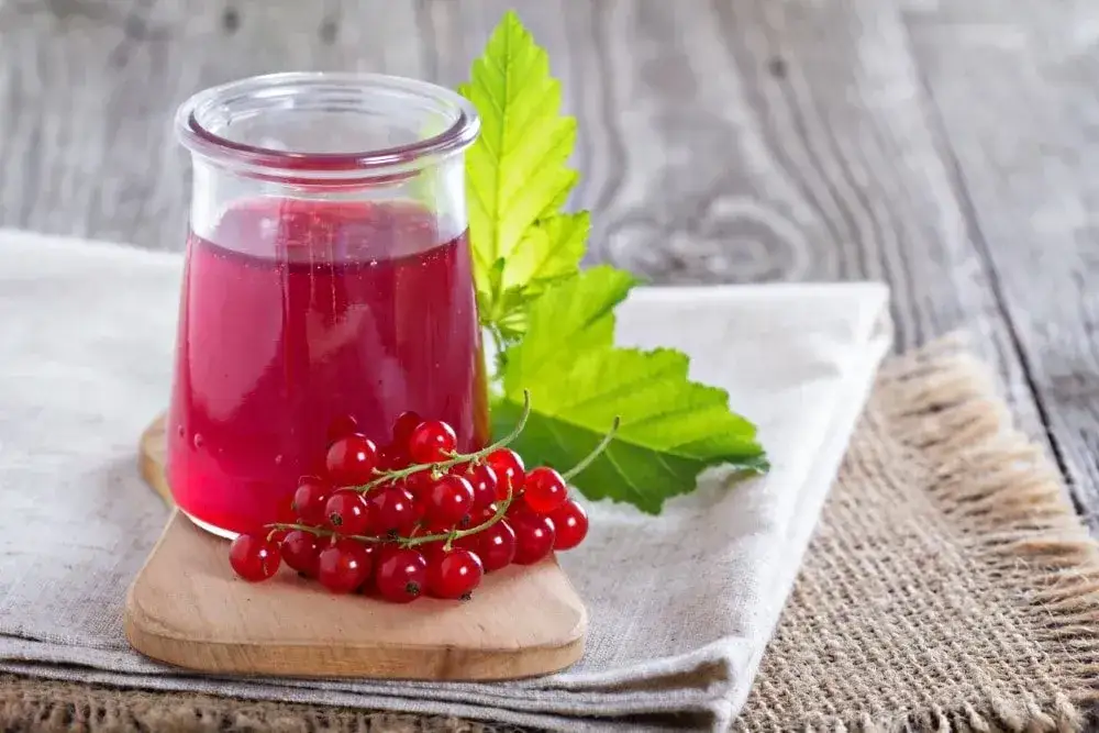 Zdjęcie Ile cukru dodać do soku z czerwonej porzeczki, aby był idealny?