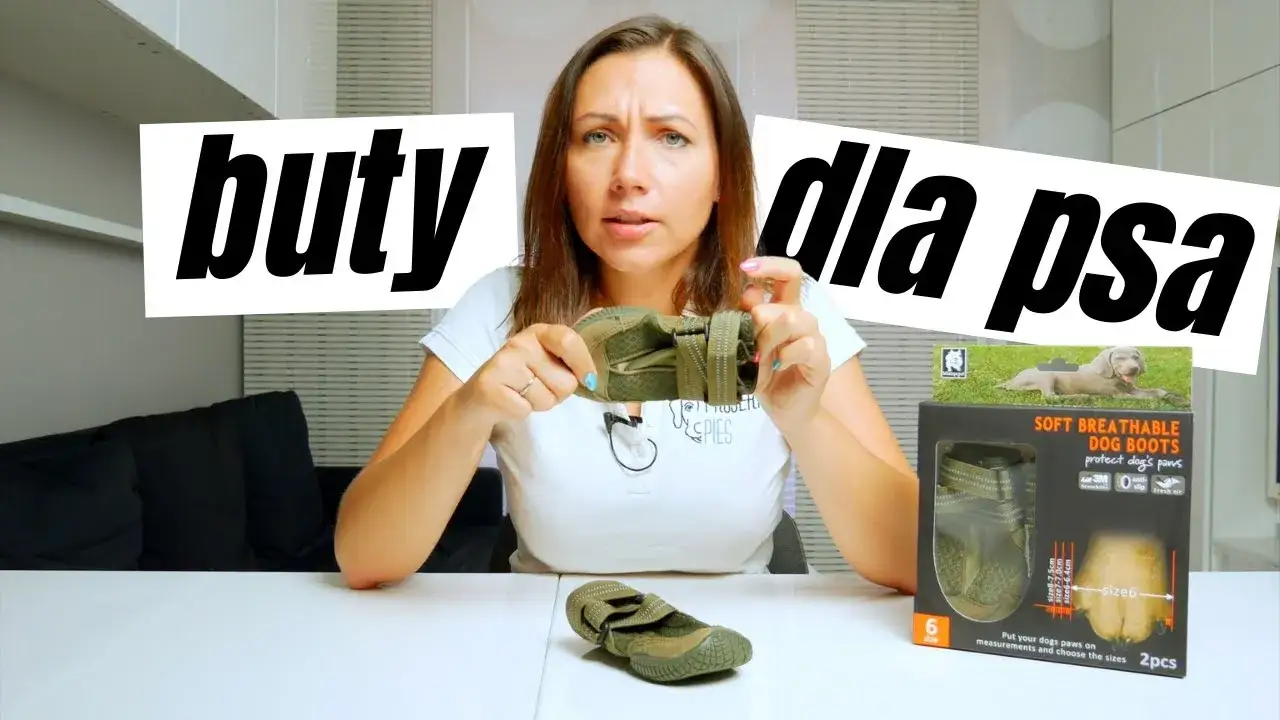 Zdjęcie Jak uszyć buty dla psa – proste kroki, aby zadbać o komfort pupila