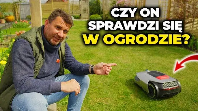Zdjęcie Kosiarka co sama kosi &ndash; jak ułatwić sobie życie w ogrodzie