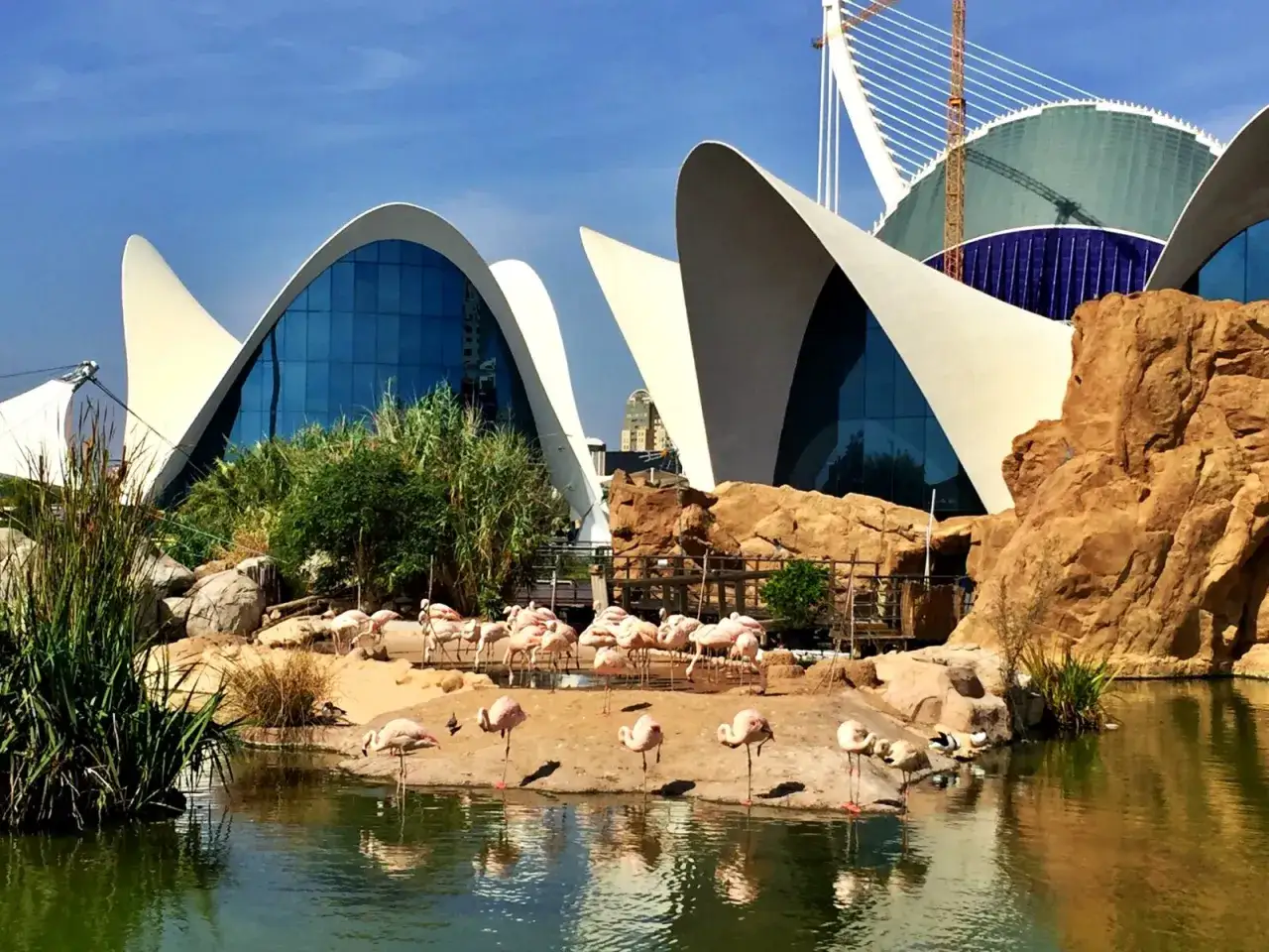 Zdjęcie Największe oceanarium w Europie - co je wyróżnia i zaskakuje