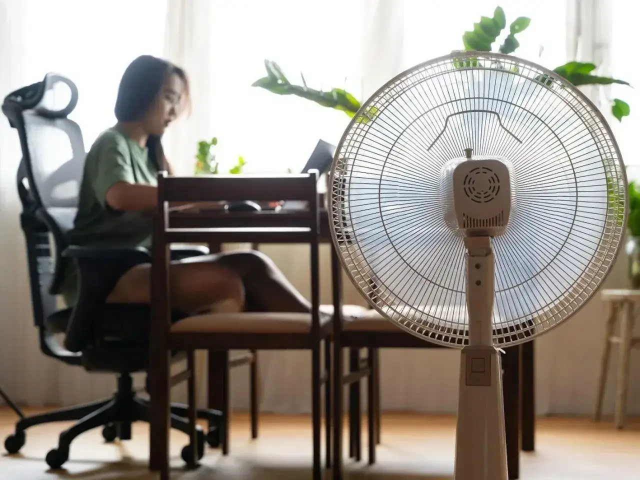 Zdjęcie Ile prądu zużywa wentylator pokojowy? Sprawdź, ile zapłacisz za energię