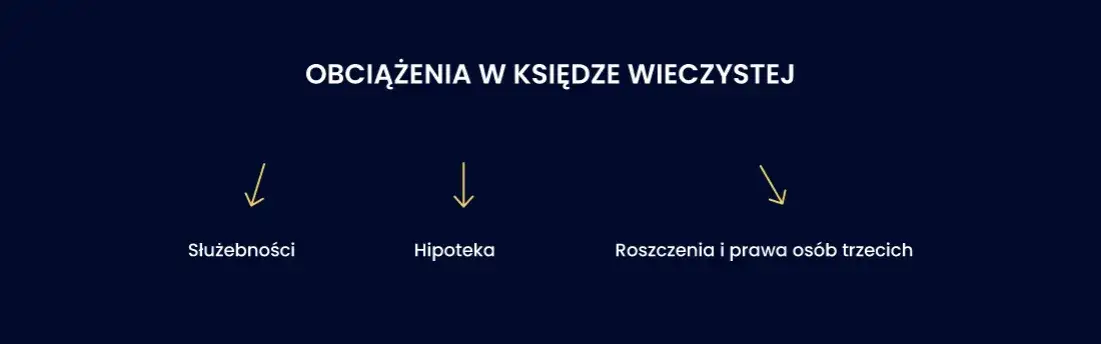 Zdjęcie Jak sprawdzić status działki i uniknąć błędów przy zakupie