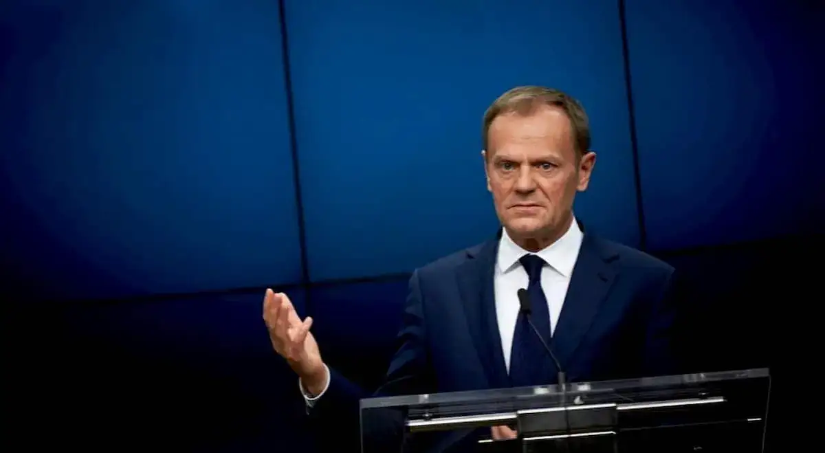 Zdjęcie Co znaczy słowo tusk? Zaskakujące znaczenie w języku polskim