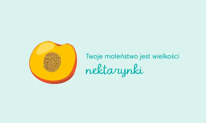 Zdjęcie Jak wygląda dziecko w 14 tygodniu ciąży? Zaskakujące zmiany i rozwój