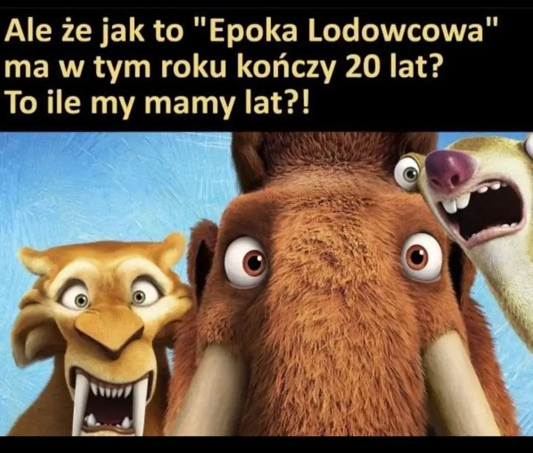 Zdjęcie Suchar codzienny: historia, tw&oacute;rcy i wpływ na młodzieżowy humor