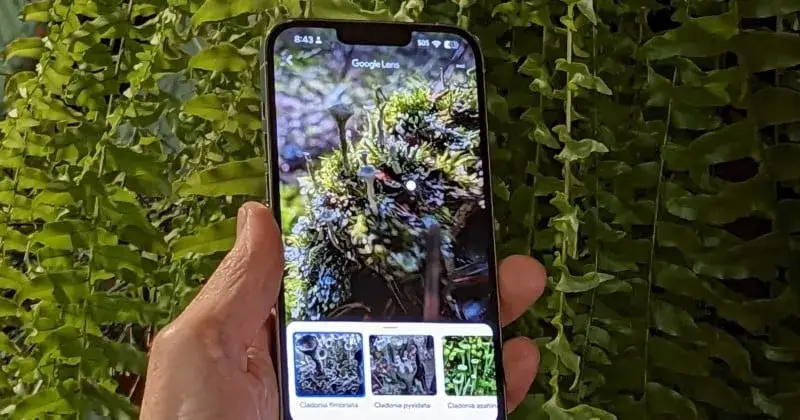 Zdjęcie IPhone 12: Rewelacyjny aparat czy rozczarowanie? Prawda o pikselach