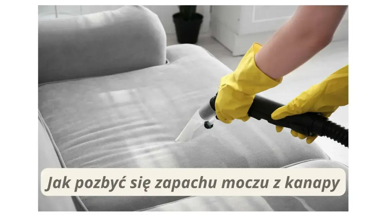 Zdjęcie Jak usunąć mocz z kanapy? Skuteczne metody i porady