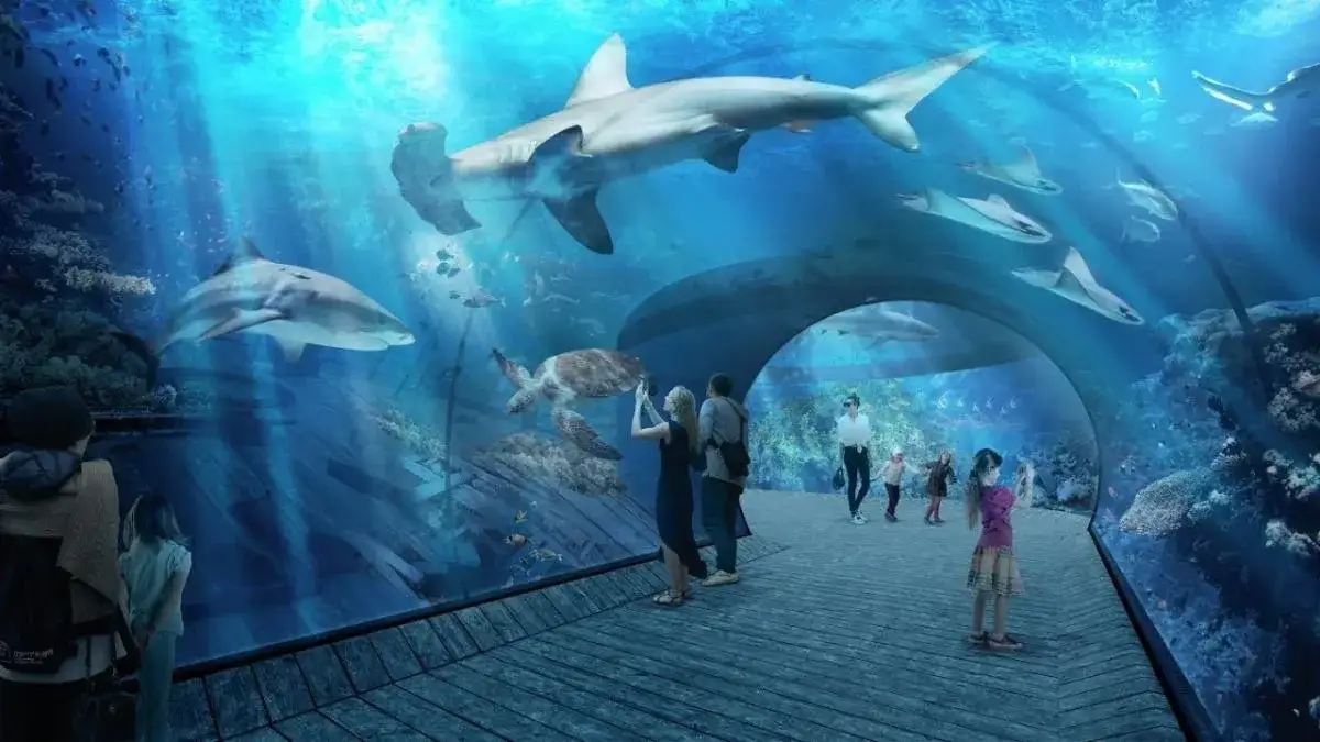 Zdjęcie Oceanarium w Gdańsku: Aktualny status budowy i planowane atrakcje