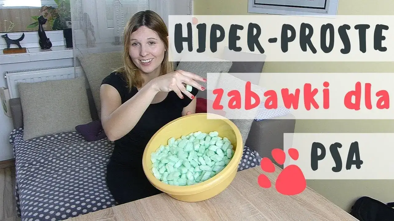 Zdjęcie Zabawki edukacyjne dla psa DIY - stymulacja umysłu i zabawa w domu